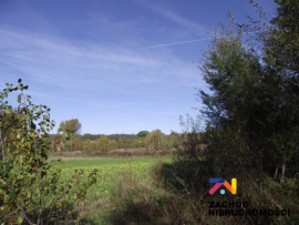 Działka siedliskowa 3648m2 - Radomia-Orzewo